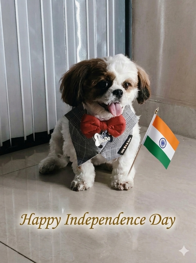 Dodo with a bow tie and the Indian flag